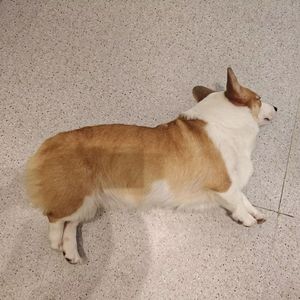 安宁桥西