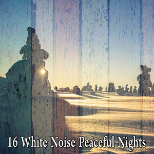 Neutralising Noise And Music