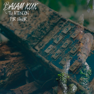 Tú Atención por Favor