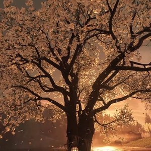 毕业季（Prod.by.Lisure）