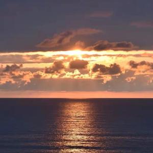 【Free不可商用】至死不渝