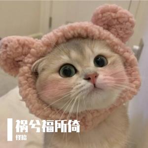 晴天