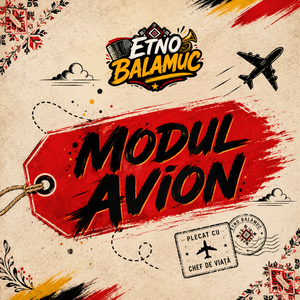 Modul Avion