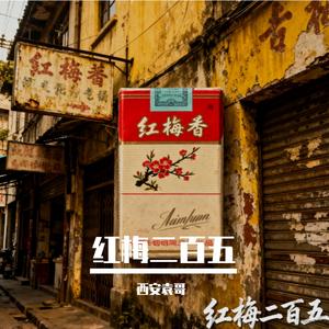 红梅二百五 成品