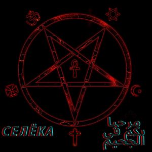 Дисклеймер