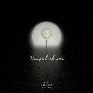 Timpul Zboară