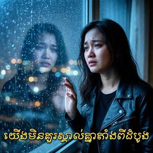 យើងមិនគួរស្គាល់គ្នាតាំងពីដំបូង