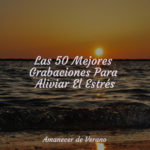 Colores Dorados al Amanecer