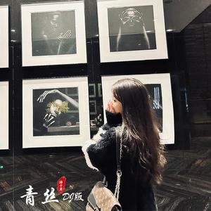 青丝（DJ涛少君版）