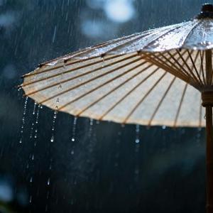 雨痕旧影