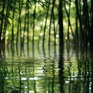 五音养五脏·土音（祛湿气瘦小肚子）