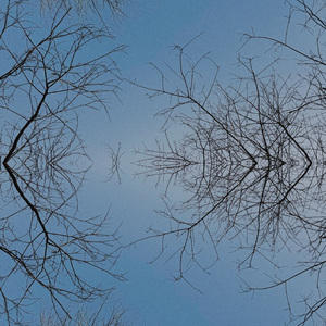 Are You Lost In Spring