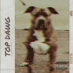 TOP DAWG (feat. Daboi Sleeze)