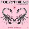 Snavs - Foe Or Friend (Extended Mix)