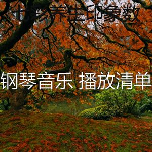 一尘不染休息中印象数