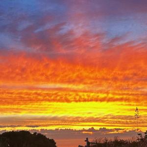 Mientras El Sol Regresa