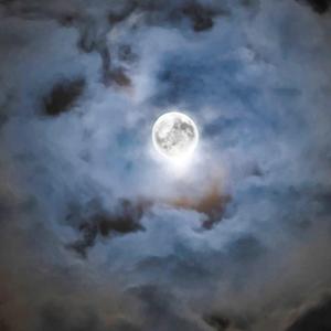 岑宁儿-追光(追光者)（Done1 ）