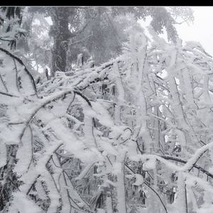 Froggy-眉山没有下雪（ct－xiao remix）