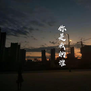 你是我的谁