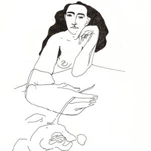 Falene la notte