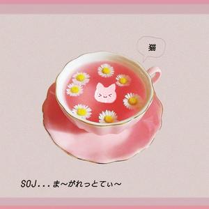 Margaret's Cozy Beats