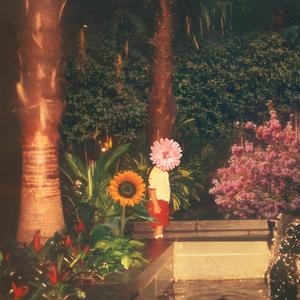 RABBIT (feat. SAMMAR)