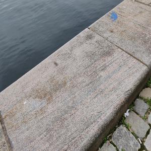 Fratellino (Casa gialla)