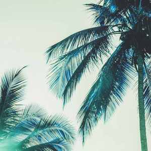 柔和的梦想时刻