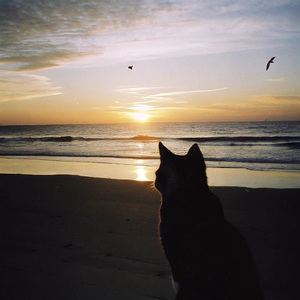 写给你的一首歌