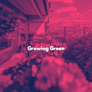 Quartet Jazz Soundtrack for Exciting Thrills