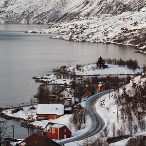 后来你成了我唯一带走不了的行李