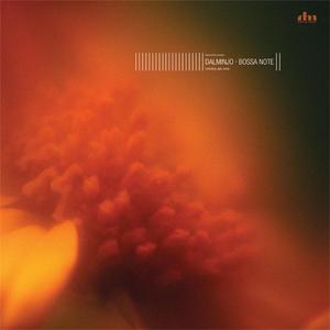 Bossa Note (Dalminjo's Disco Note Edit Mix)