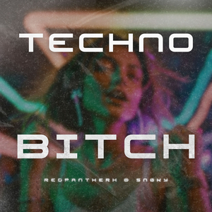 Techno Bitch
