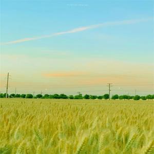 白噪解压舒心轻音乐