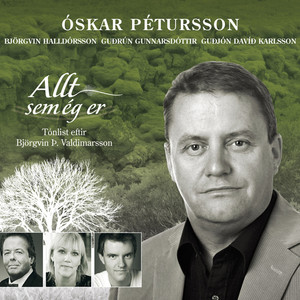 Mig dreymdi mikinn draum