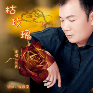 枯玫瑰-兰天 伴奏