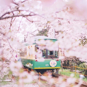 东西（温柔男声版）（翻自 林俊呈）