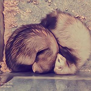 一个有关 梦与妳 的梦