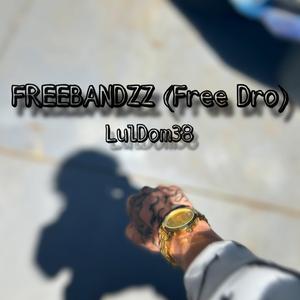 FREEBANDZZ (Free Dro)