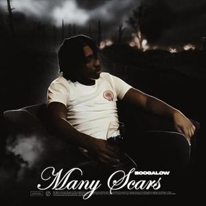 Many Scars