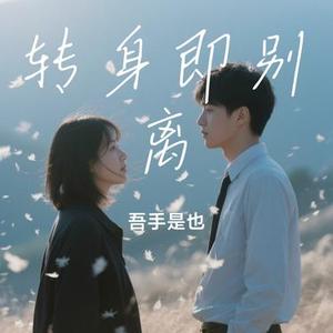 转身即别离 (吾手是也 Remix)