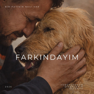 Yürüyorum Dikenlerin Üstünde