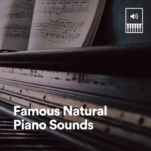 Favourable Piano