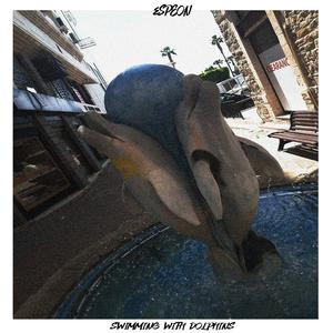 Swimming With Dolphins