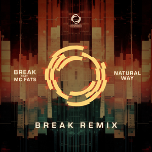 Natural Way (Break Remix)
