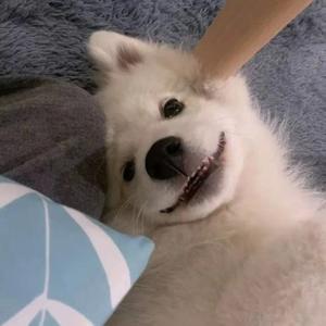 好了伤疤忘了痛