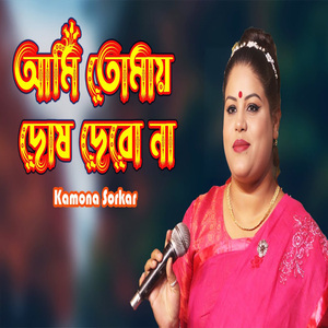 আমি তোমায় দোষ দেবো না