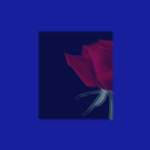 你静静的居住我心中