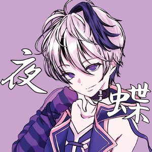 夜蝶