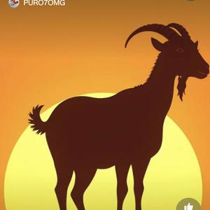 Ni en esta vida Ni en otra